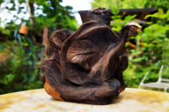 "Feuerschnecke"