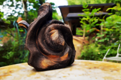 "Feuerschnecke"